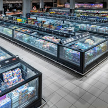 Hauser freezers